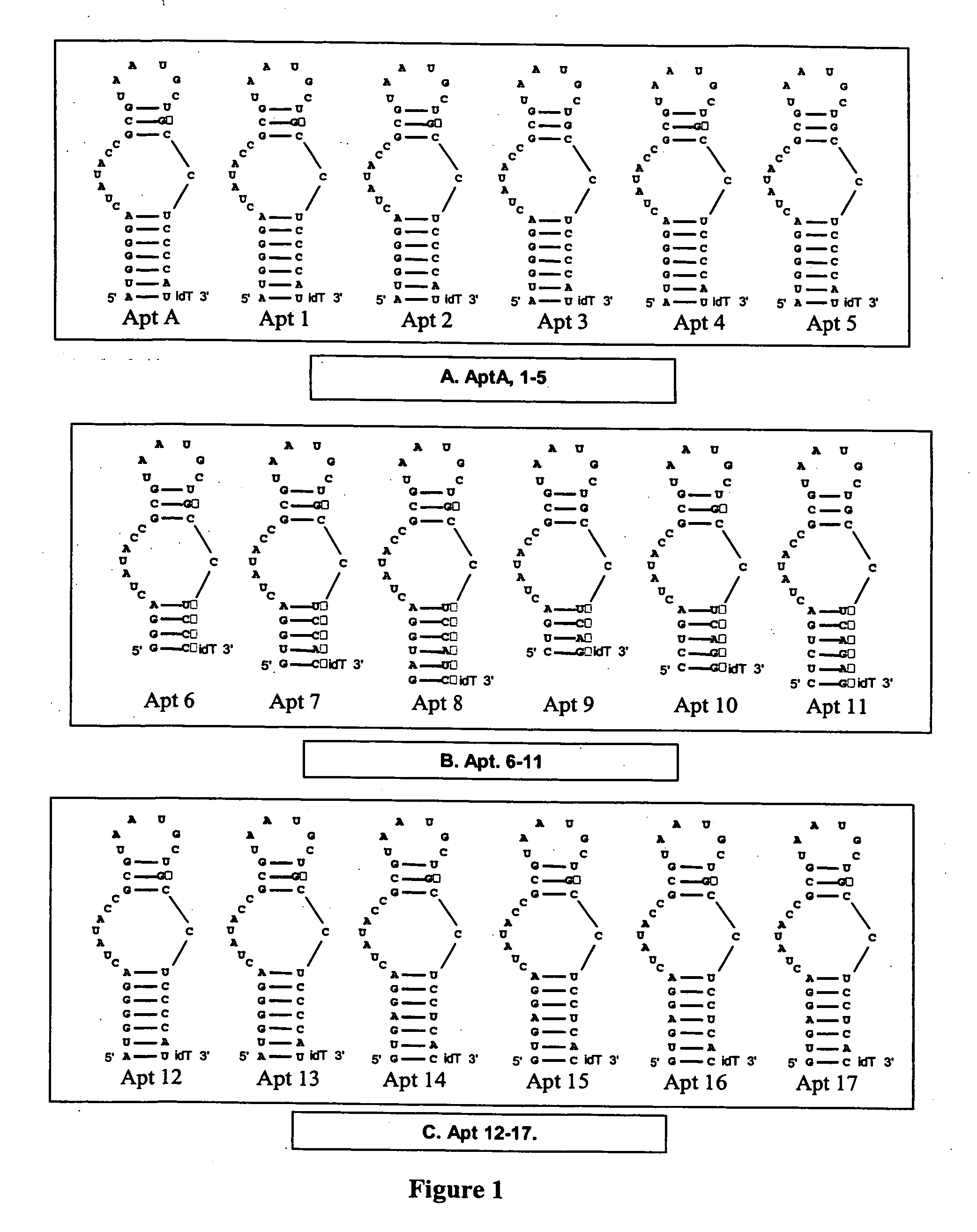 Modulators of coagulation factors with enhanced stability