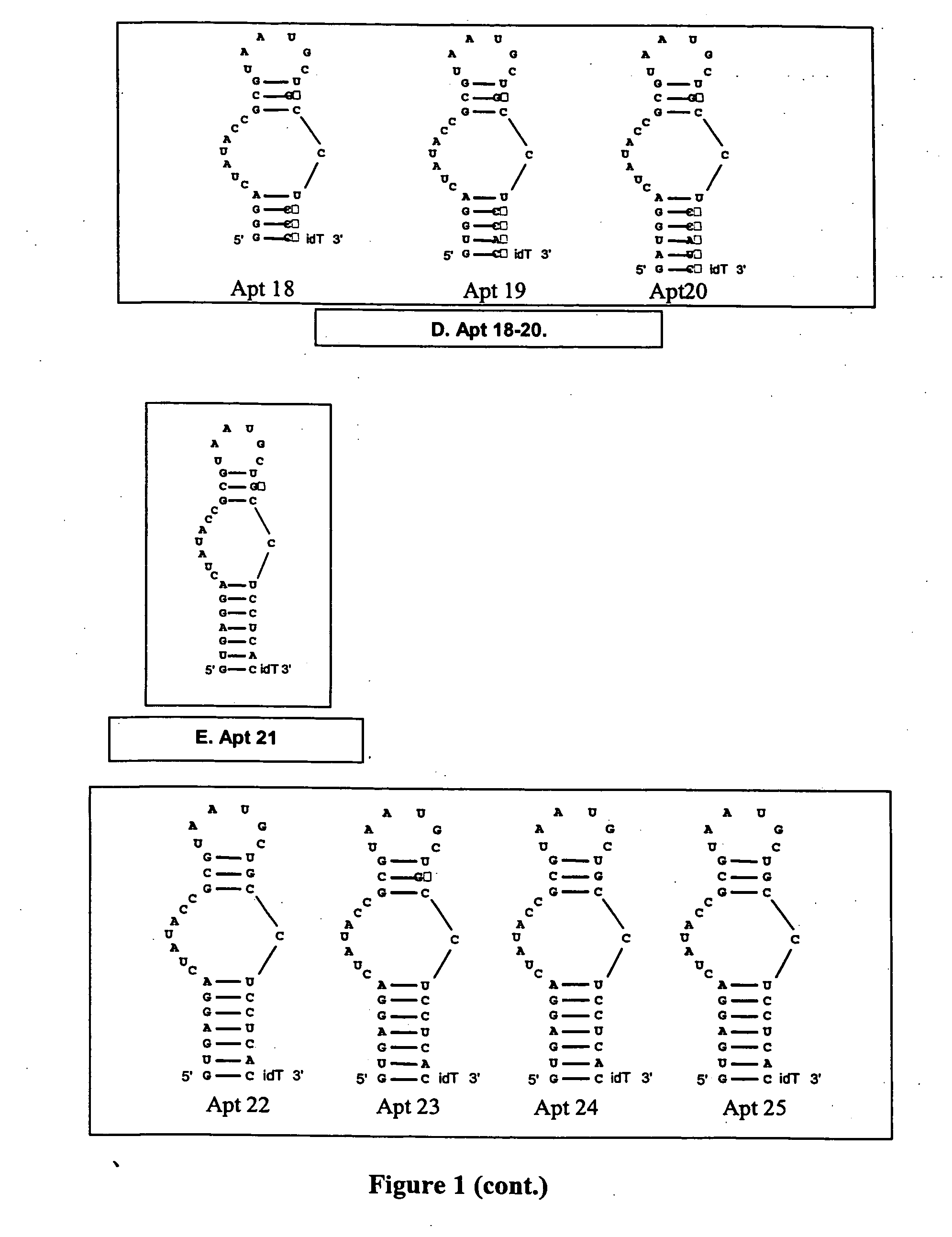 Modulators of coagulation factors with enhanced stability