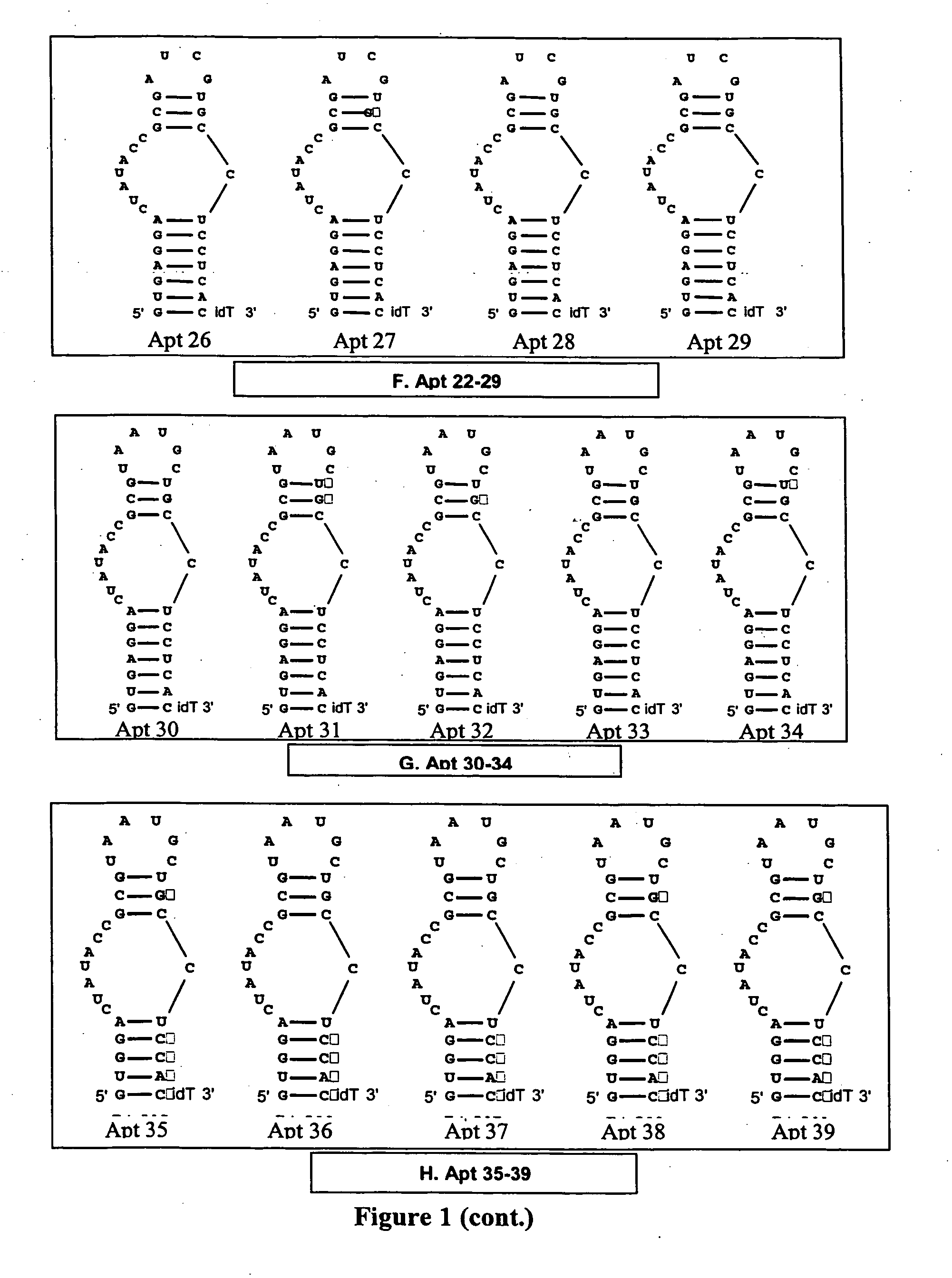 Modulators of coagulation factors with enhanced stability