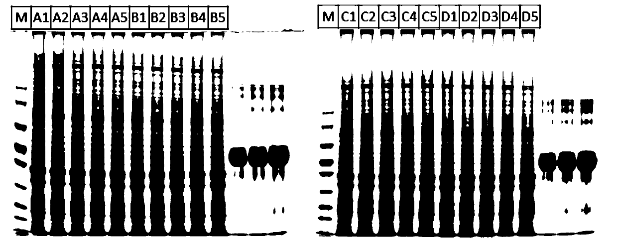 Method for researching proteome change of rat suffering from depression or anxiety based on proteomics