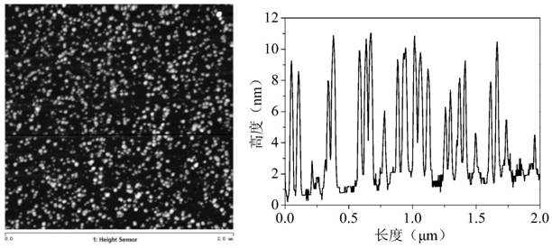 A method for treating ammonia nitrogen pollutants in water by activating sulfite with sulfide photoanode