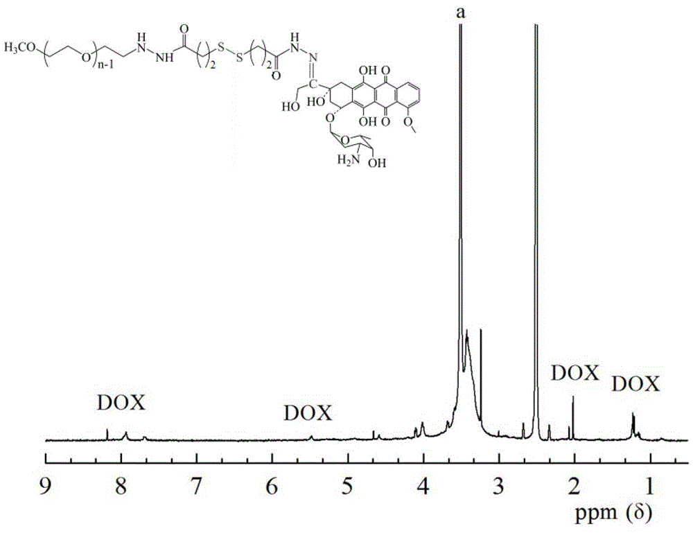 Bifunctional polyethylene glycol and adriamycin conjugate and preparation method thereof