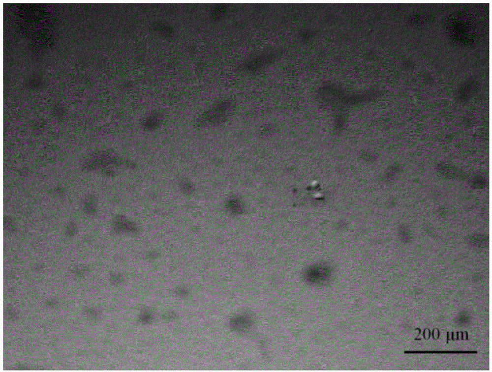 Bifunctional polyethylene glycol and adriamycin conjugate and preparation method thereof