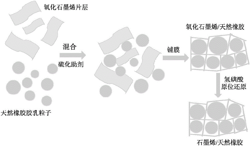 Preparation method of high-electric-conductivity graphene/natural rubber nano-composite