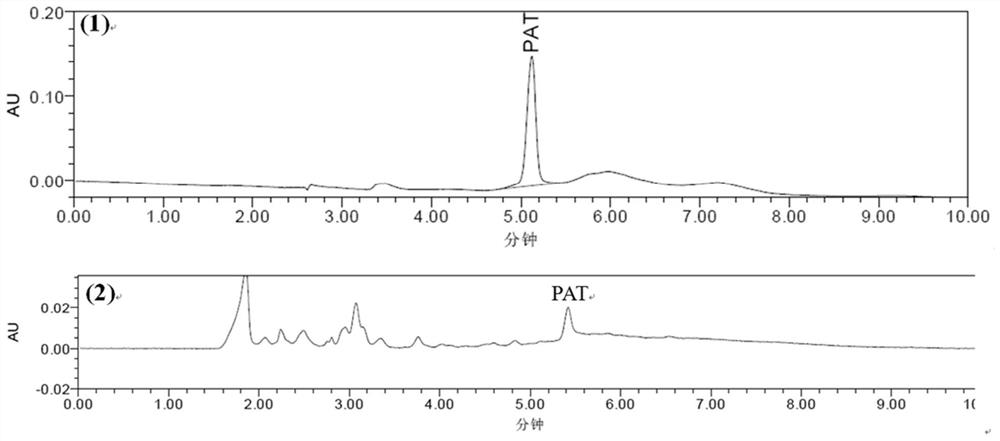 A simultaneous detection kit for fungi producing aflatoxin, ochratoxin and patulin