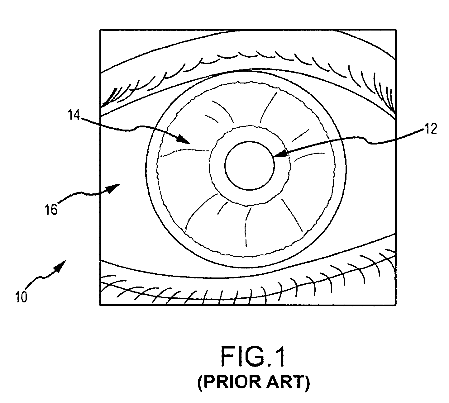 Iris recognition using hyper-spectral signatures