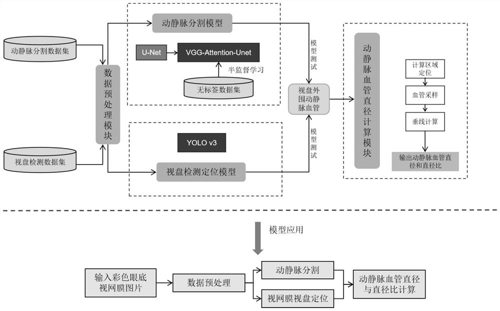 Method and system for calculating diameter of arteriovenous blood vessel of fundus retina