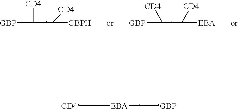 Fusion proteins comprising CD4 and the malaria parasite merozoite glycophorin binding protein 130 (GBP-130)