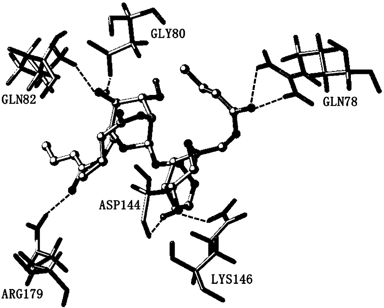 Croton acylated catapol derivative as well as preparation method and application thereof