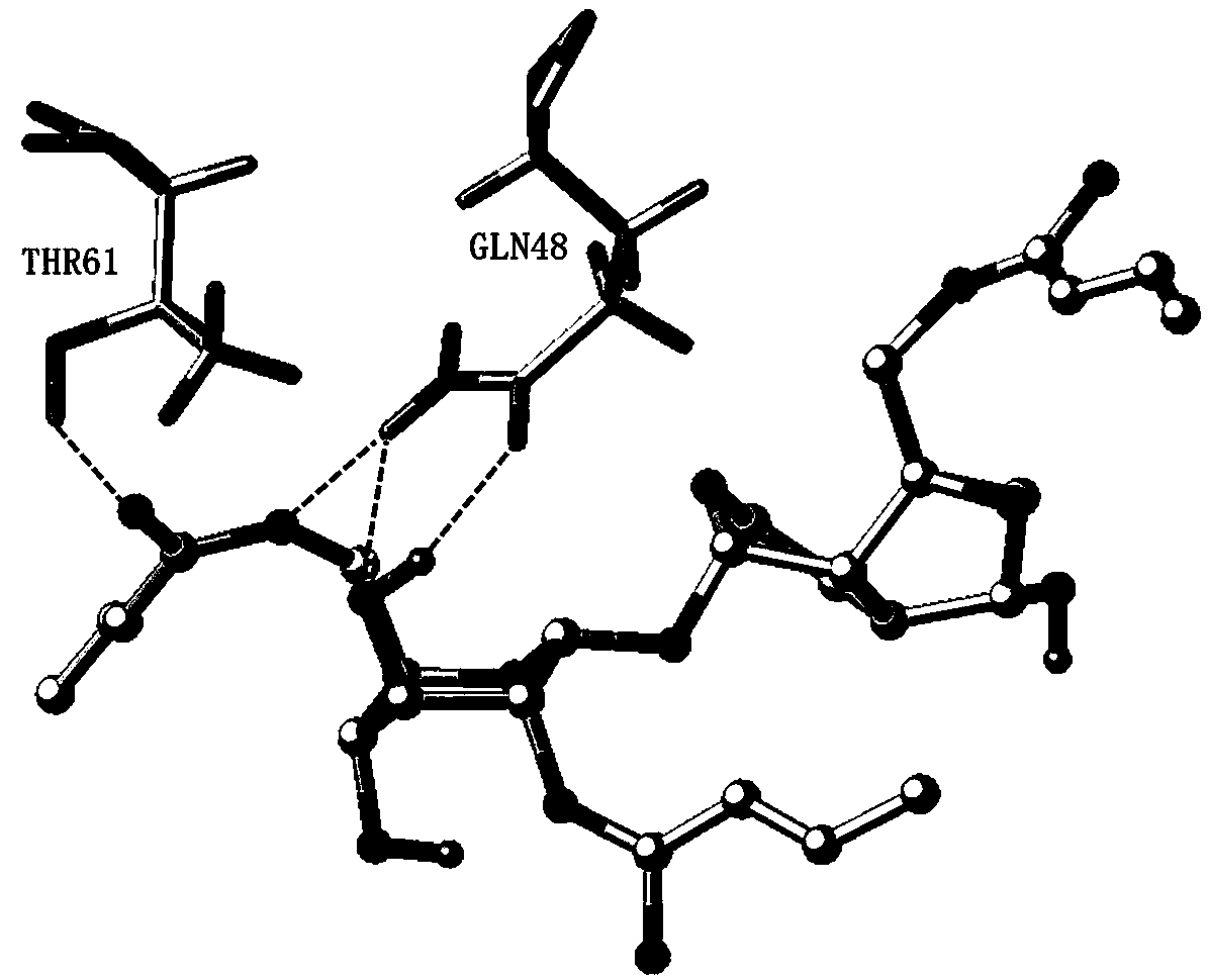 Croton acylated catapol derivative as well as preparation method and application thereof