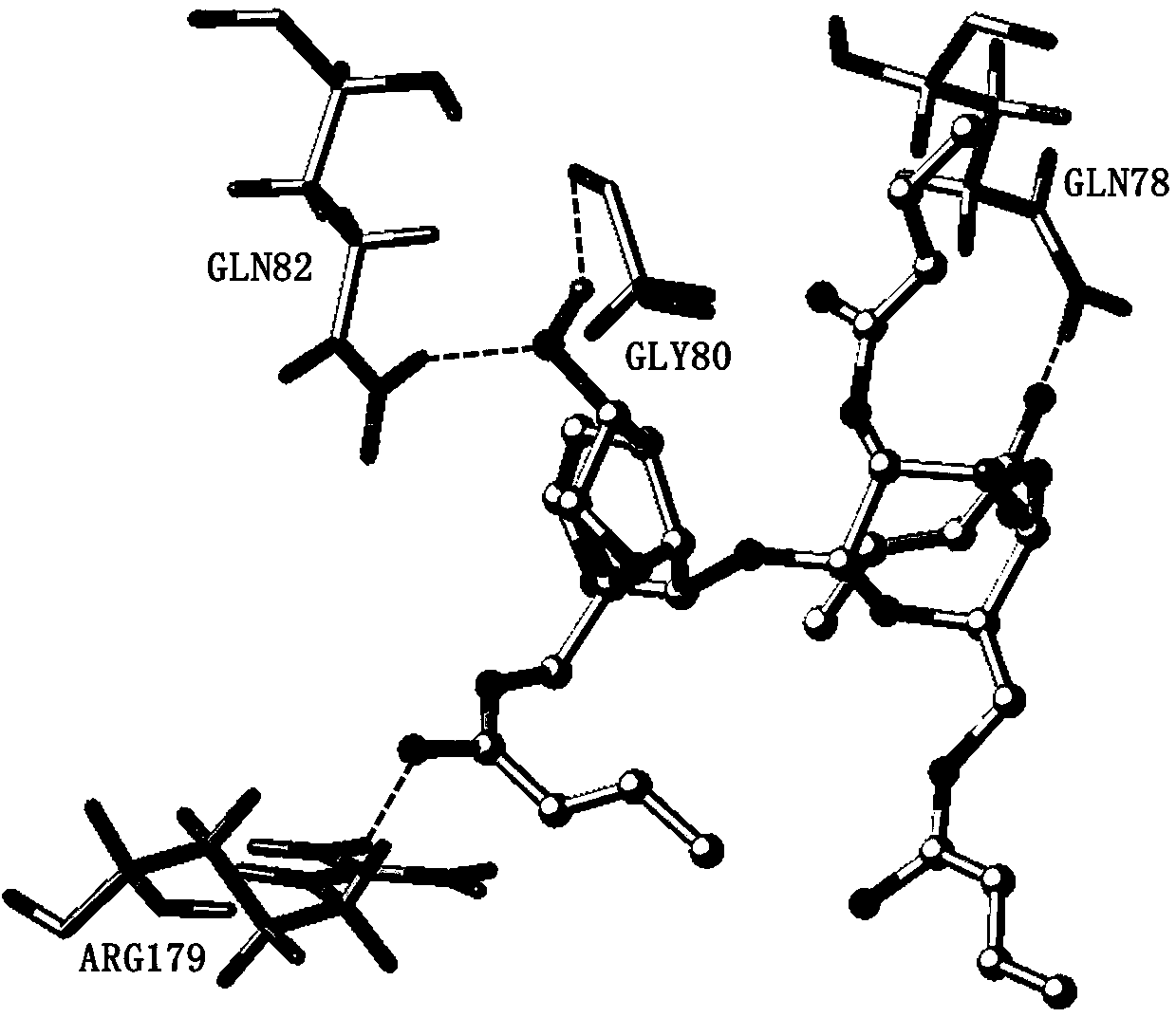 Croton acylated catapol derivative as well as preparation method and application thereof