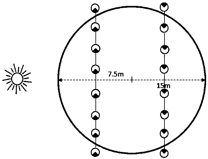 Method for inverting effective leaf area indexes of man-made forest by UAV lidar