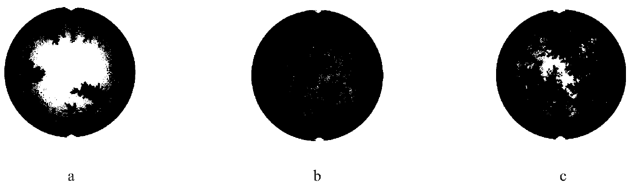 Method for inverting effective leaf area indexes of man-made forest by UAV lidar