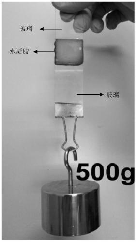 Self-healing injectable hydrogel, preparation method and application thereof