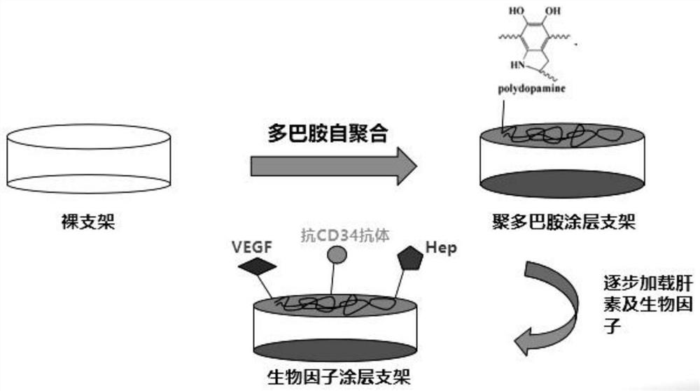 Biological factor coating stent and preparation method thereof