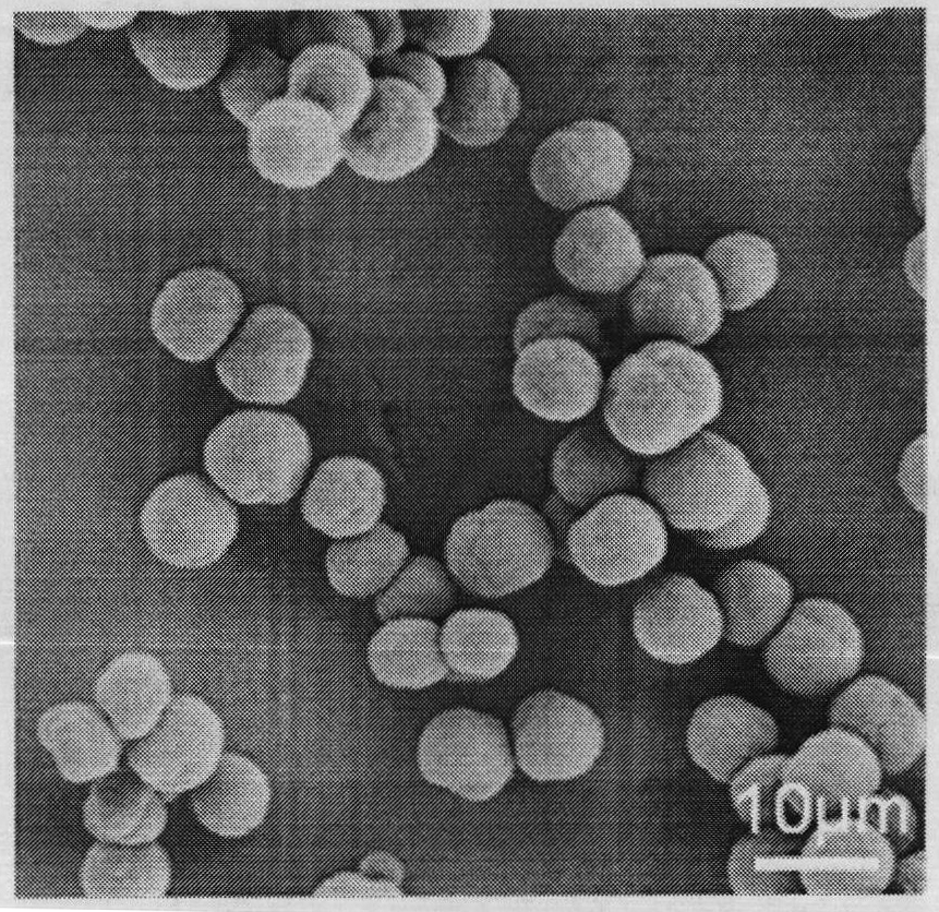 Method for preparing single polyelectrolyte microcapsule based on ferrocene hydrophobic interaction