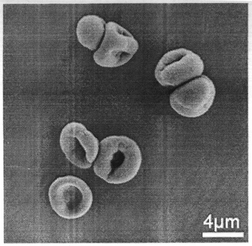 Method for preparing single polyelectrolyte microcapsule based on ferrocene hydrophobic interaction