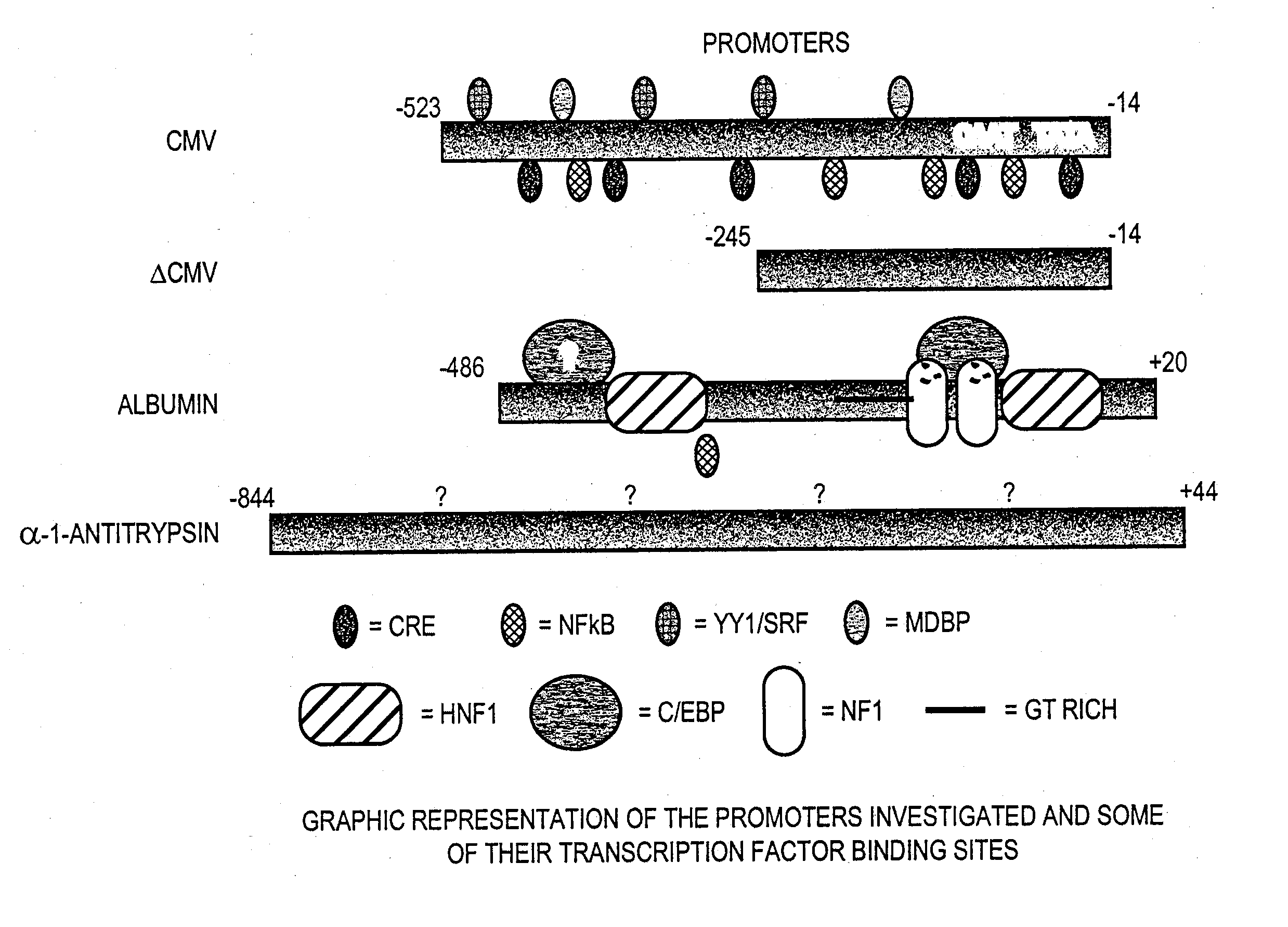 Regulatory elements for delivery to the liver