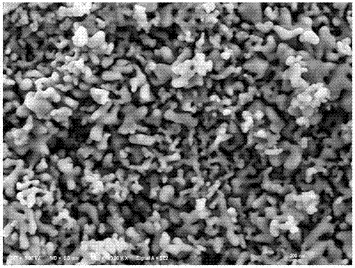 A kind of microemulsion synthetic method of mesoporous β tricalcium phosphate