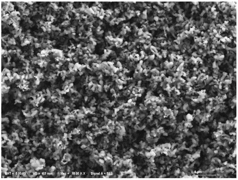 A kind of microemulsion synthetic method of mesoporous β tricalcium phosphate