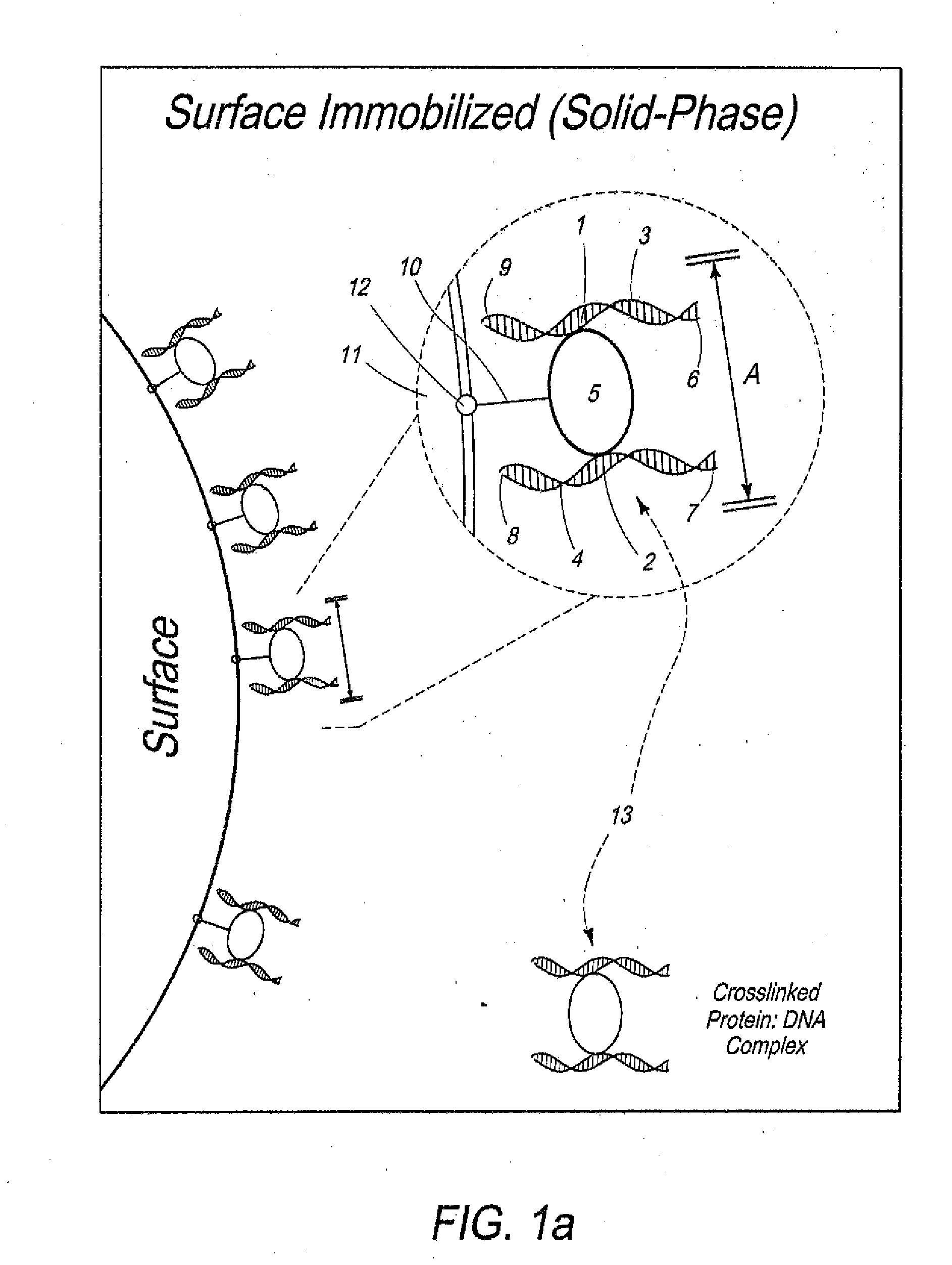 Tethered Conformation Capture