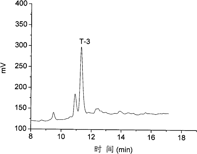 α-type Conus Polypeptide and Its Application