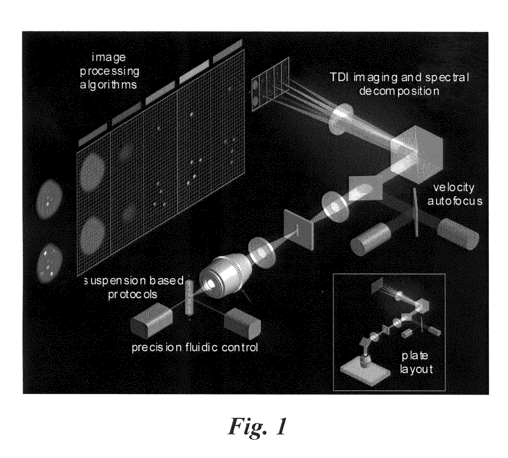 Methods for preparing and analyzing cells having chromosomal abnormalities