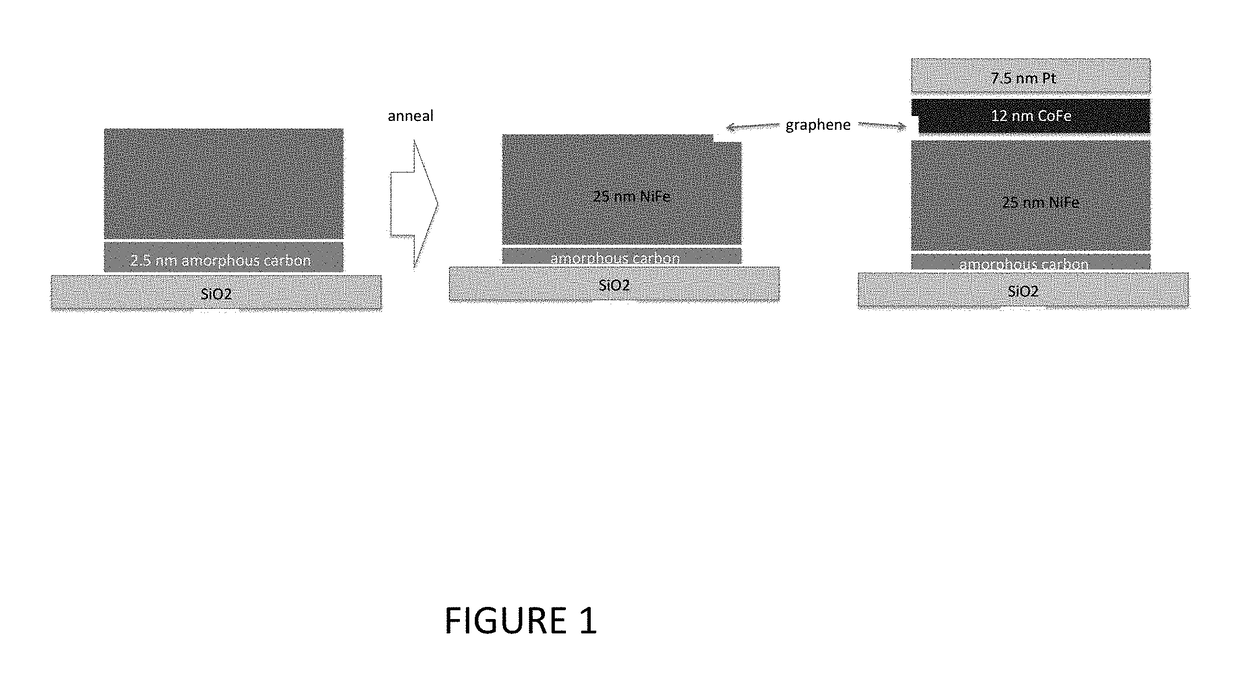 Magnetic Field Sensor Using In Situ Solid Source Graphene and Graphene Induced Anti-Ferromagnetic Coupling and Spin Filtering