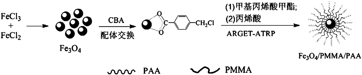 Quasi-micelle superparamagnetic nano particles and preparation method thereof