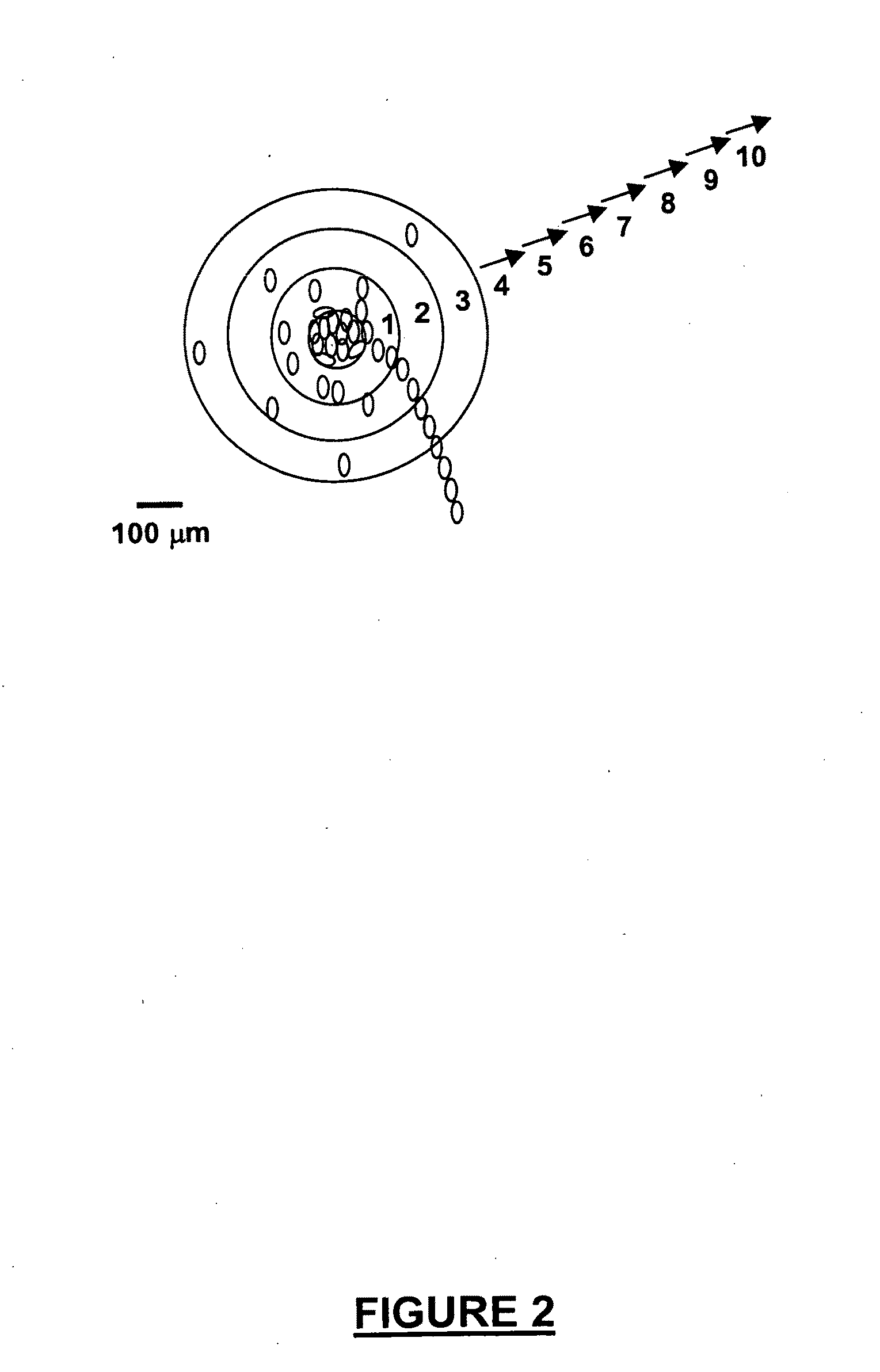 Neural regeneration peptides and methods for their use in treatment of brain damage