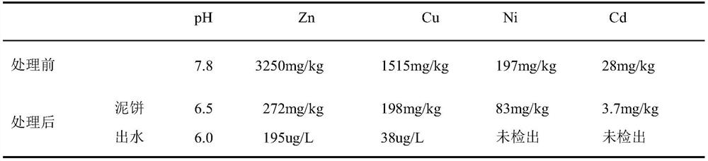 Treatment method for removing and recycling heavy metals in wastewater sludge based on biological sulfur circulation