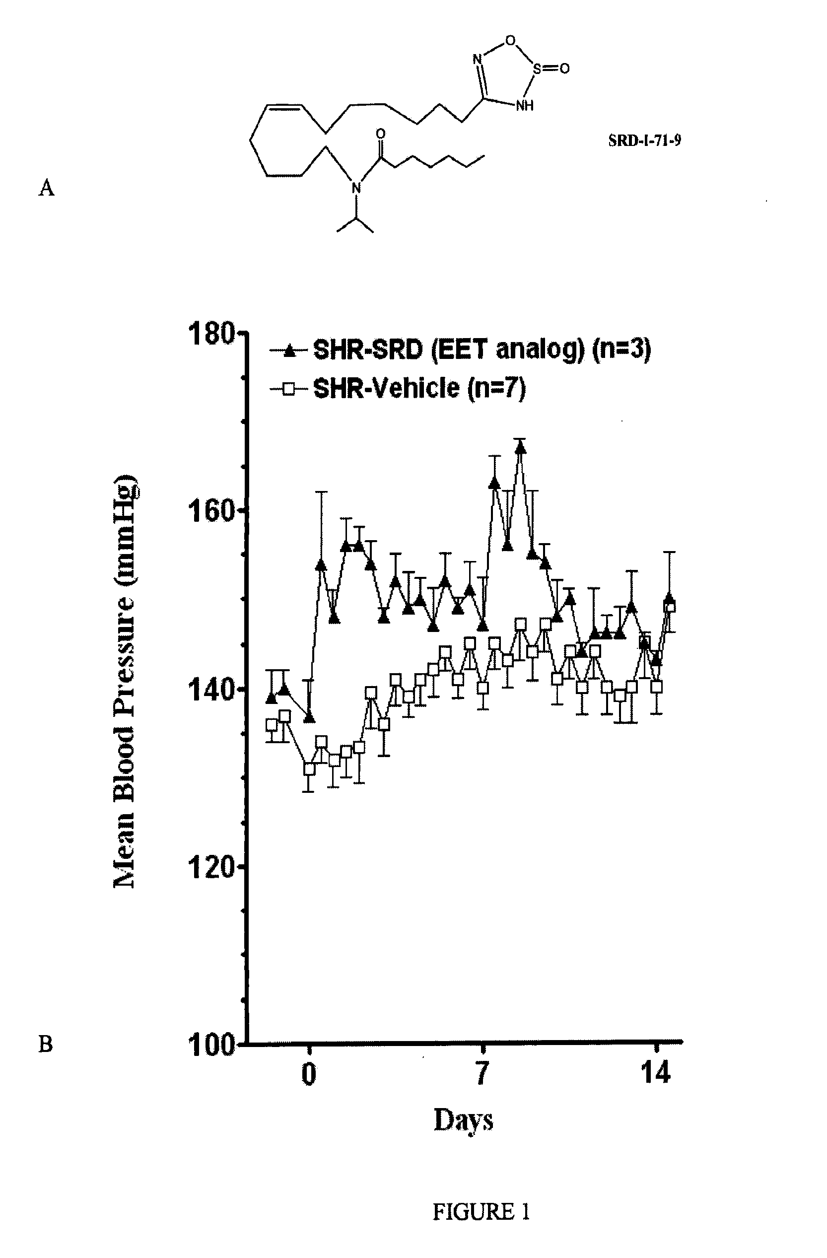 Epoxyeicosatrienoic acid analogs and methods of making and using the same