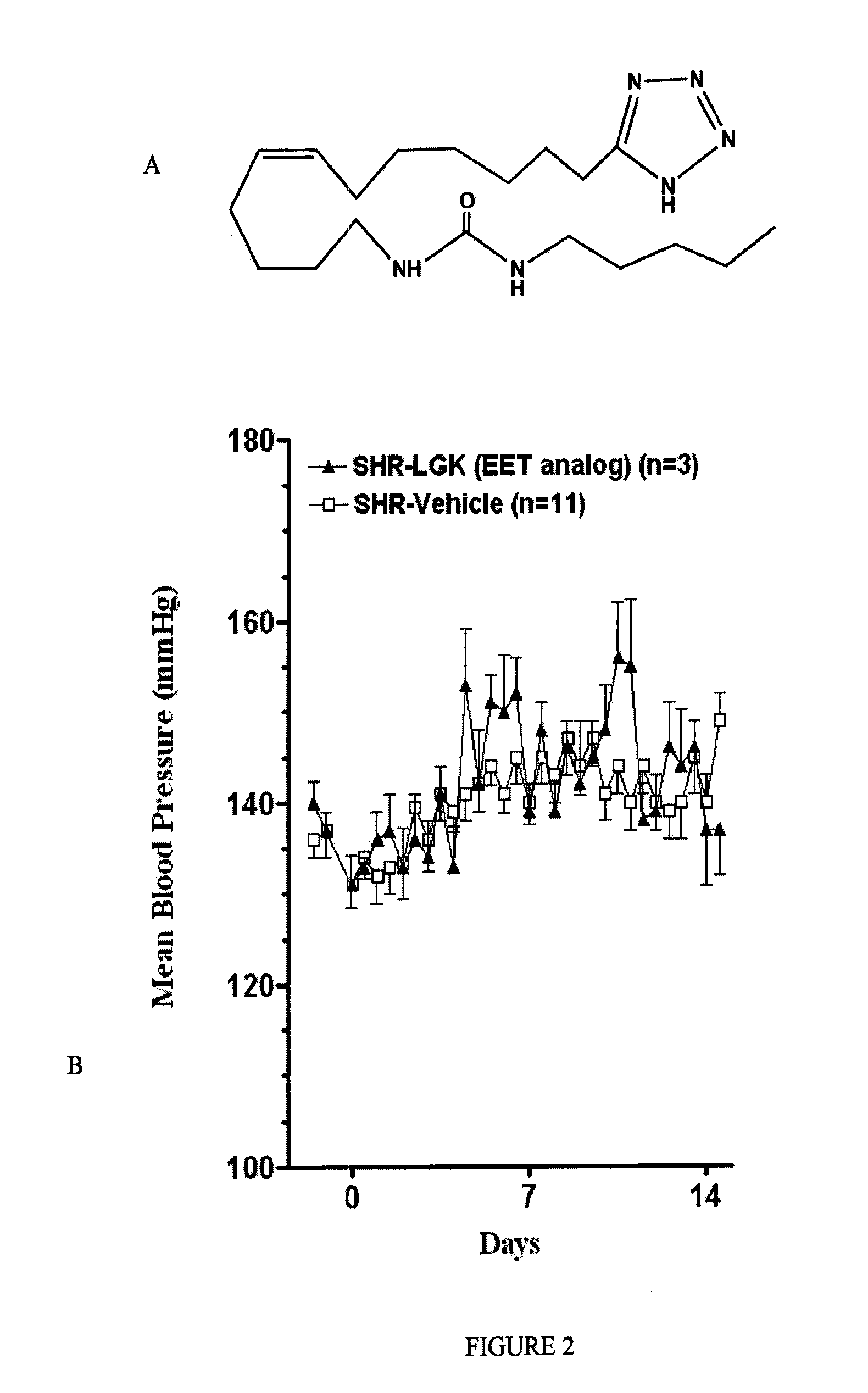 Epoxyeicosatrienoic acid analogs and methods of making and using the same