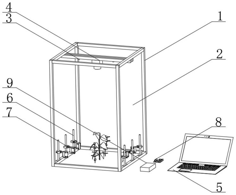 Method and device for automatically identifying in-row weeds in seedling stage of transplanted crops