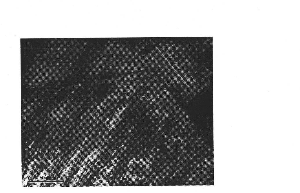 Twin induced plastic steel with high elongation percentage and high hole expansion rate and manufacture method thereof