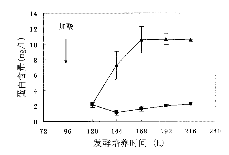 Method for inducing oxalate decarboxylase by coriolus versicolor cultured by corn stalk carbon source