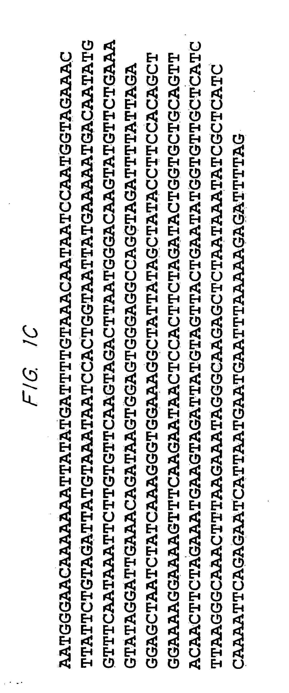 Biological systems for manufacture of polyhydroxyalkanoate polymers containing 4-hydroxyacids