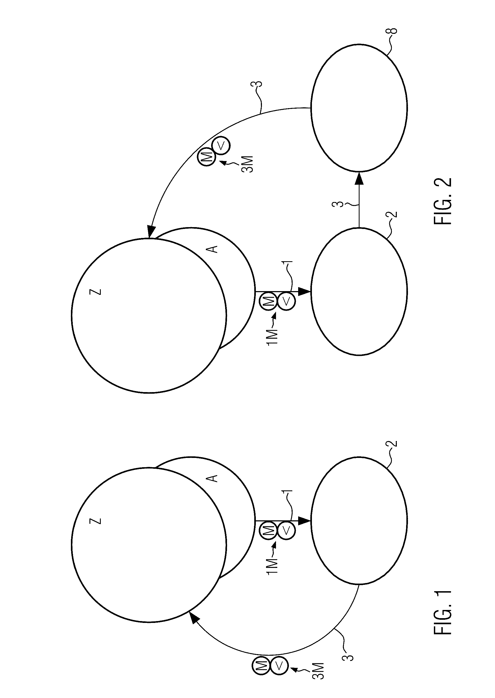 Pasteurization system with purification of the process liquid