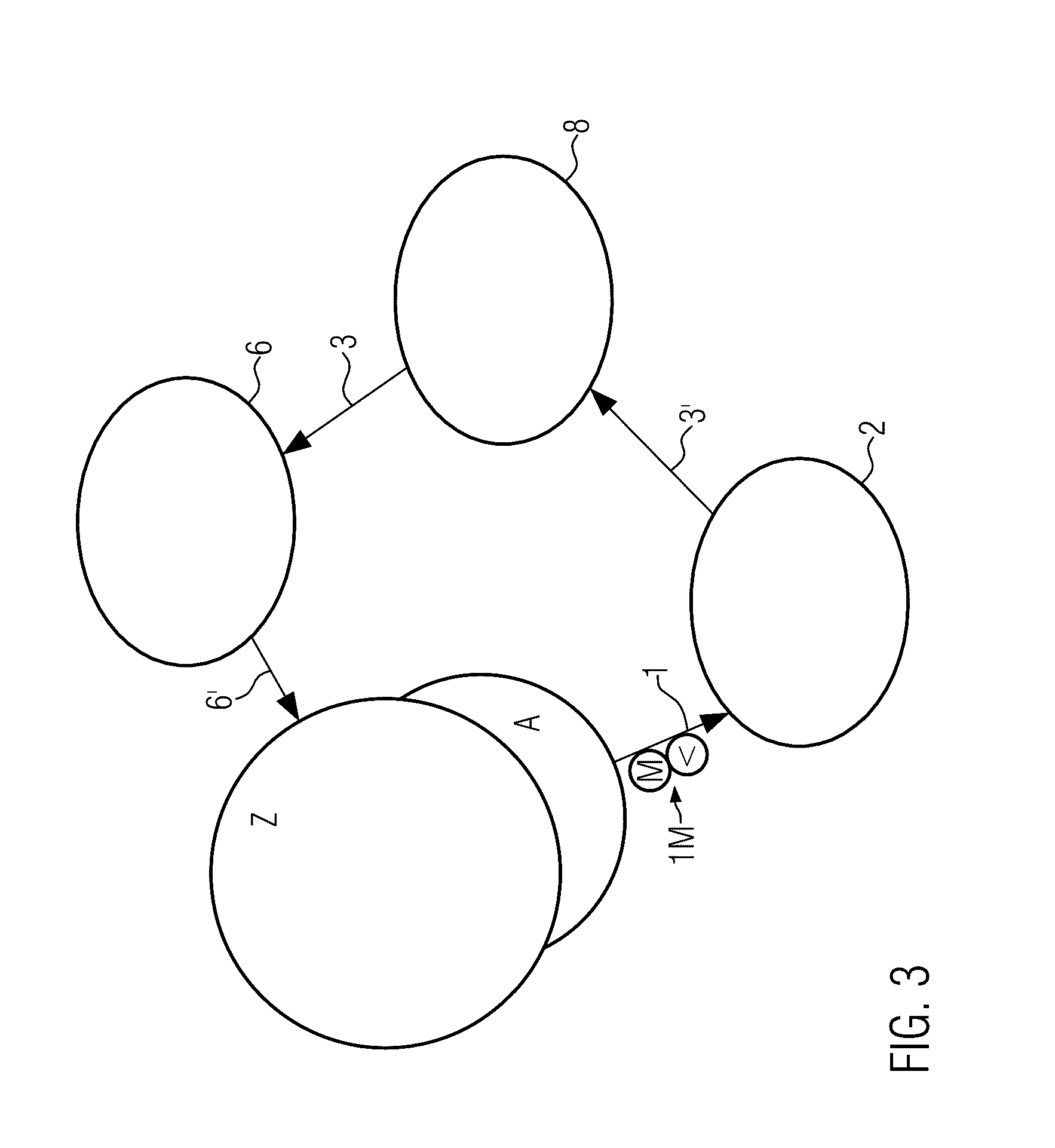 Pasteurization system with purification of the process liquid