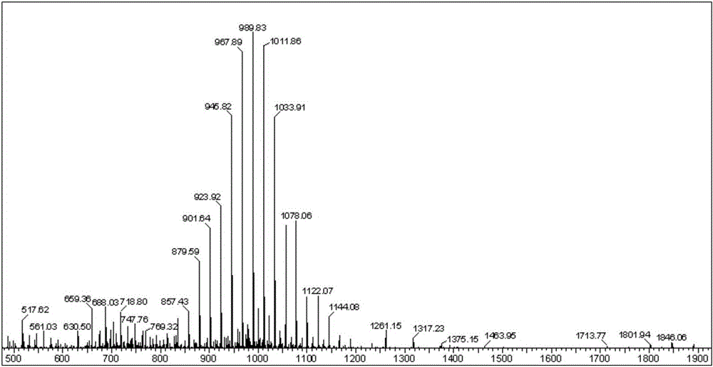 Fluorescence resonance energy transfer probe, preparation method and application thereof