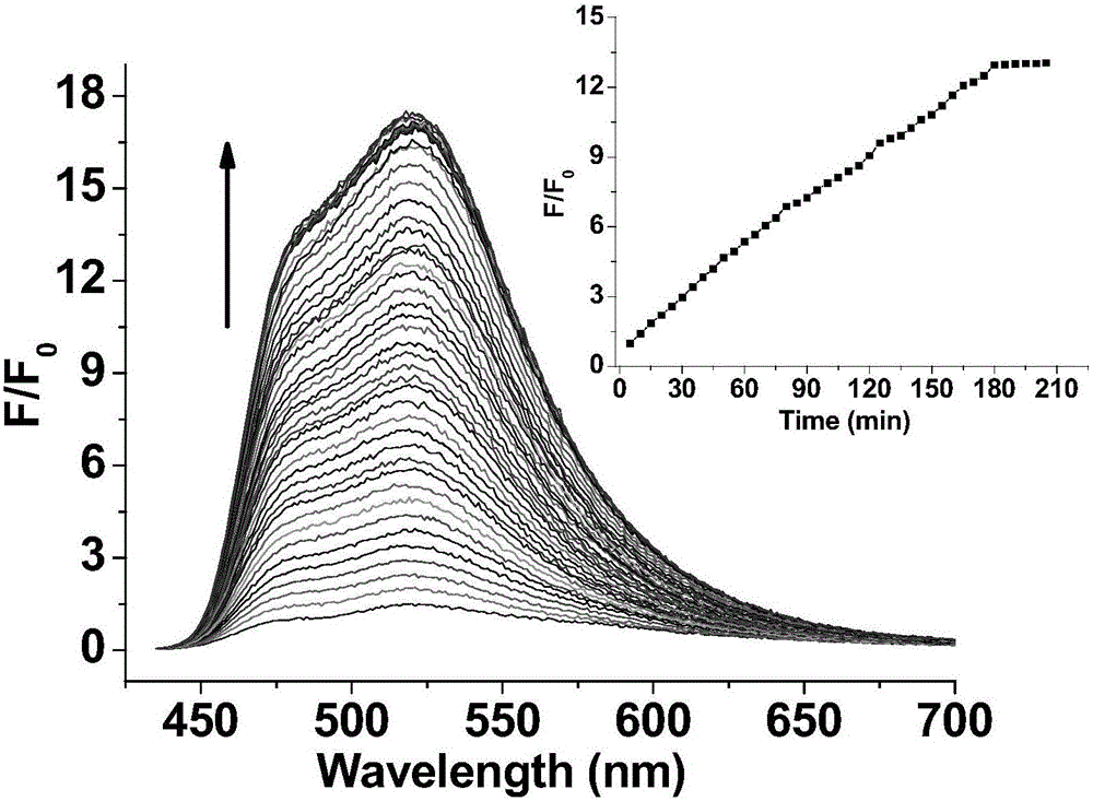 Fluorescence resonance energy transfer probe, preparation method and application thereof