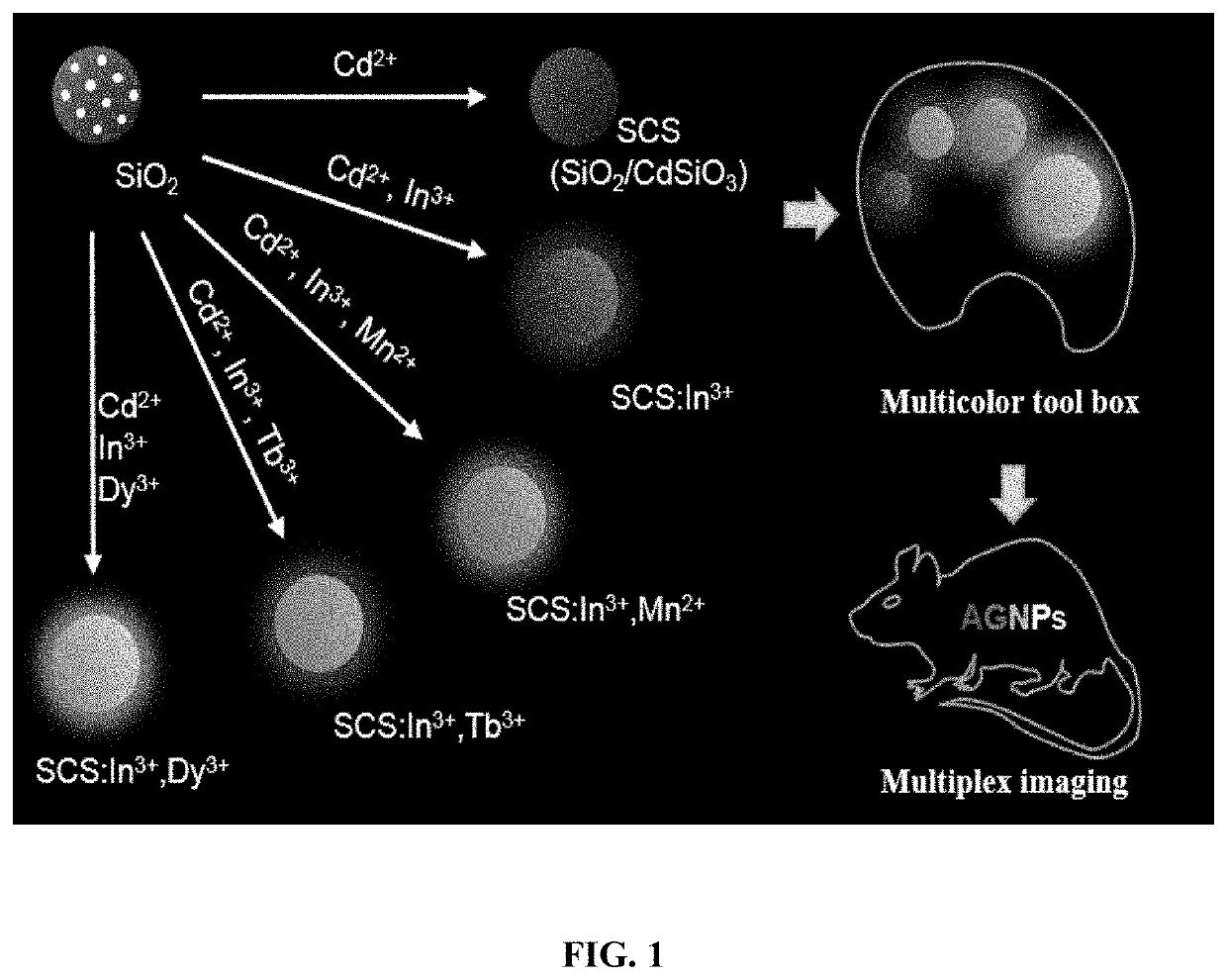 Nanoparticles with tunable afterglow and compositions and methods thereof