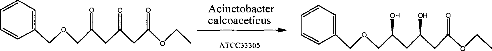 Di-carbonyl reduction enzyme, its gene and uses thereof