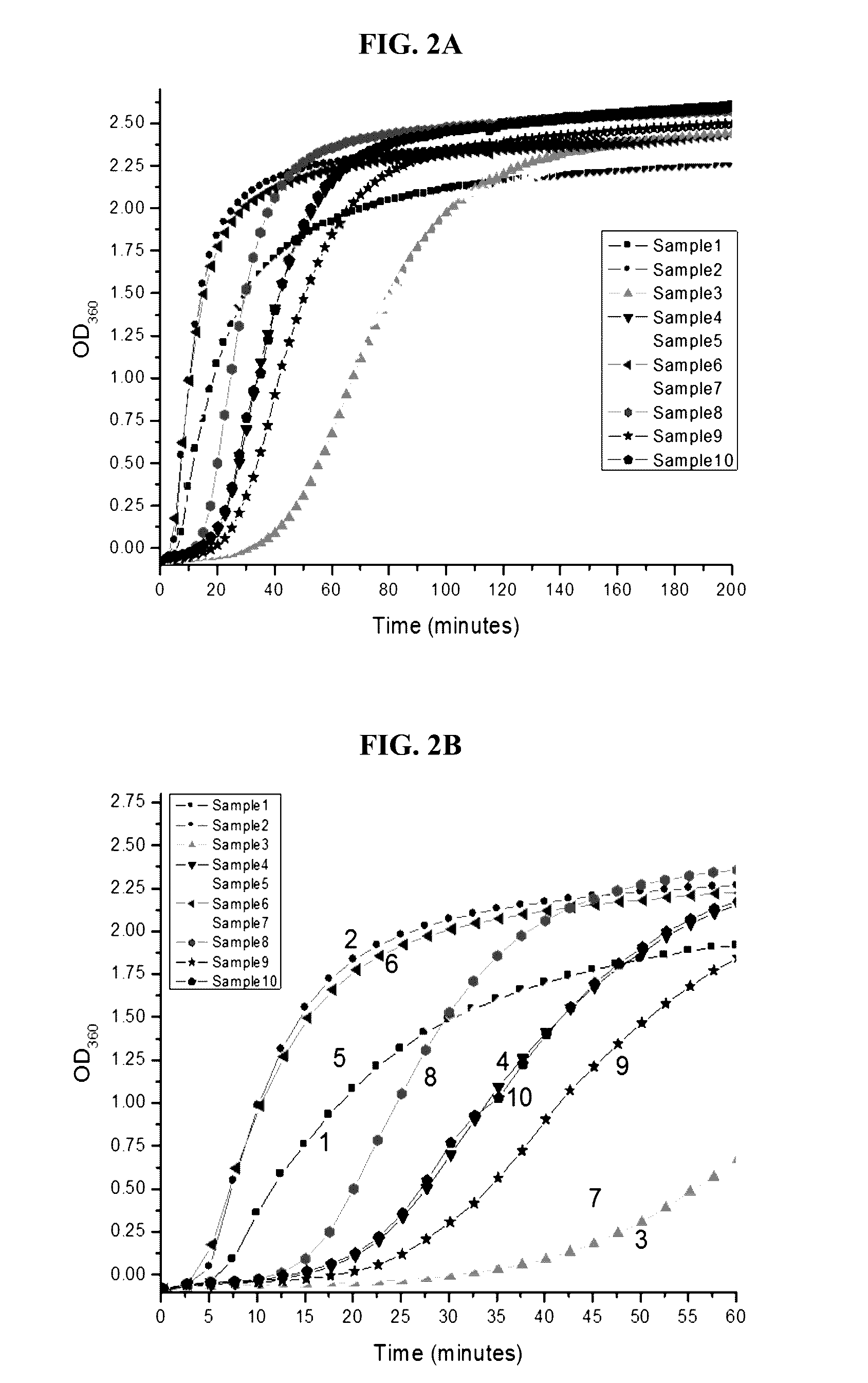 Stable protein solution formulation containing high concentration of an Anti-vegf antibody