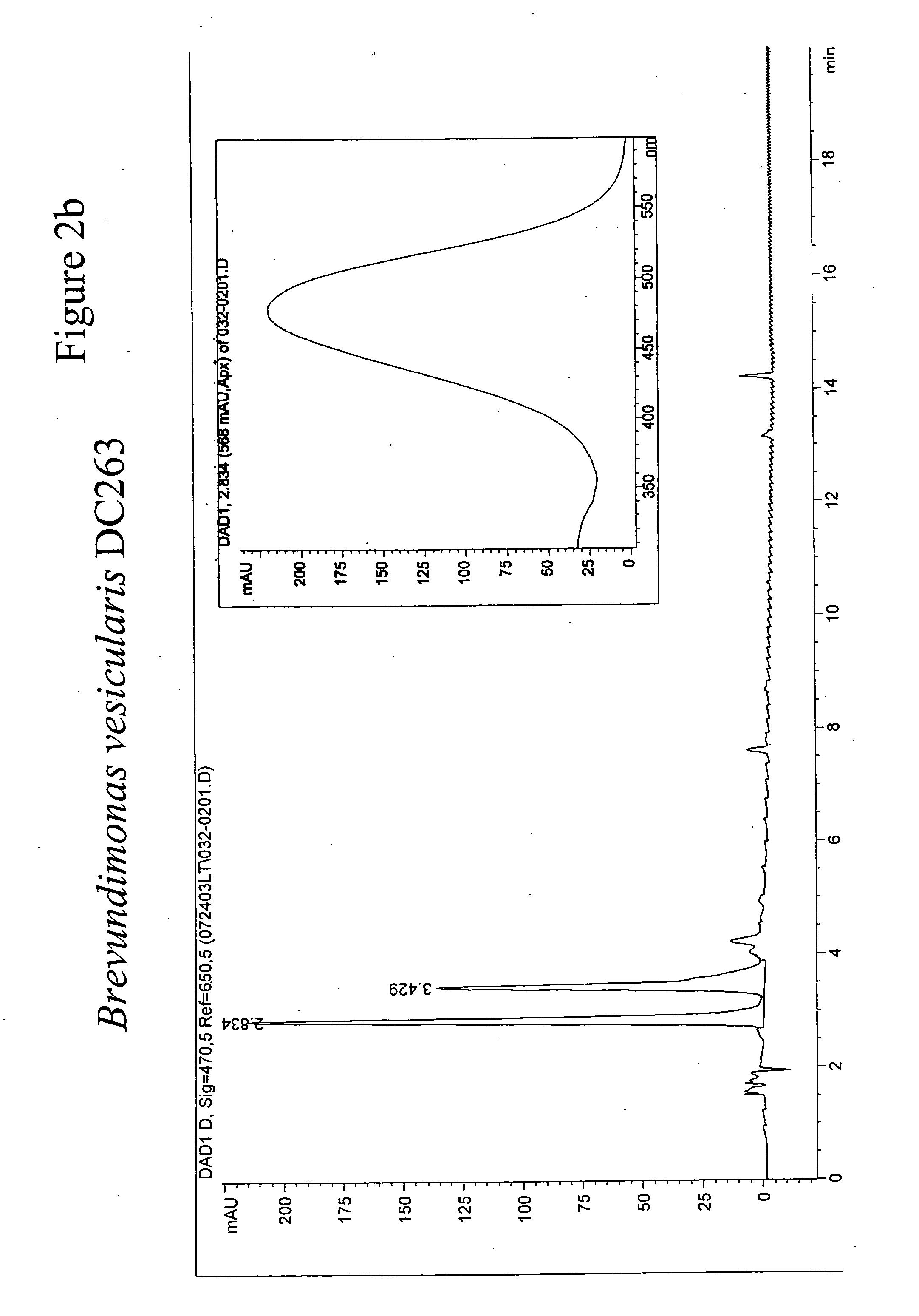 Novel carotenoid ketolases