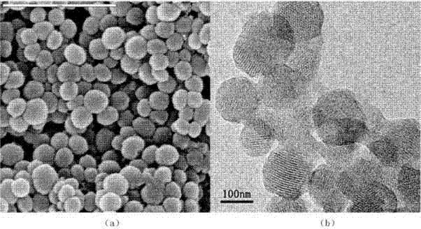 Tooth desensitizer as well as preparation method and application thereof