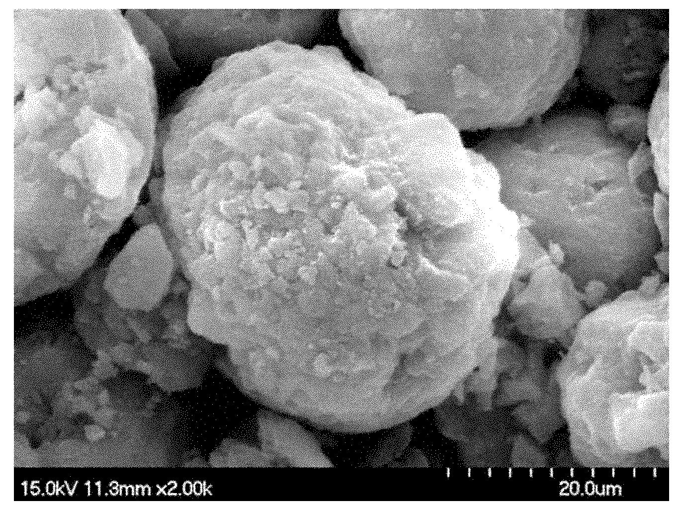 Environmental-friendly mercuric chloride metal catalyst and preparation method thereof