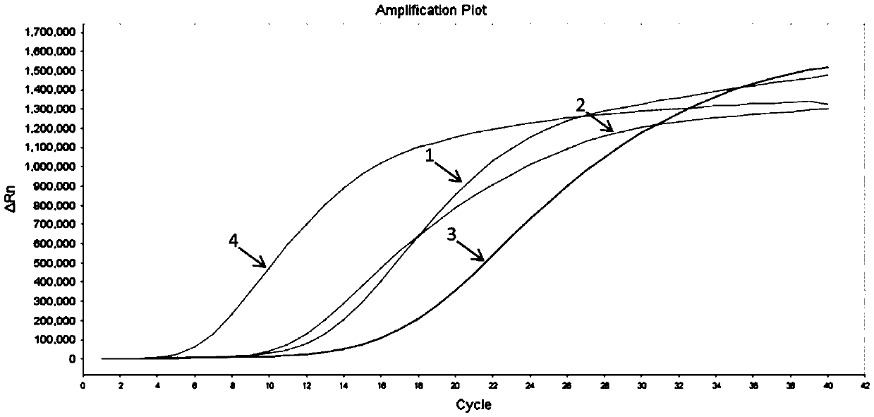 Infectious hematopoietic necrosis virus (INHV)RAA (recombinase-aid amplification) thermostatic fluorescence detection method and reagent