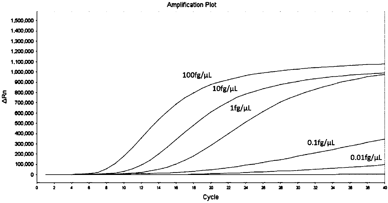 Infectious hematopoietic necrosis virus (INHV)RAA (recombinase-aid amplification) thermostatic fluorescence detection method and reagent