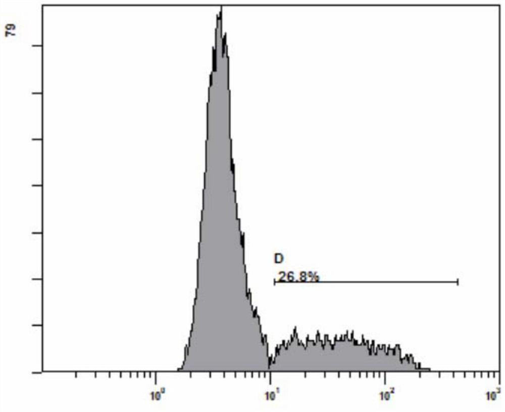 Encoding gene of anti-EpCAM chimeric antigen receptor, preparation method of encoding gene, plasmid with gene, immune cell and application of encoding gene